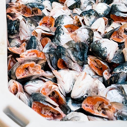 bhj-wet-pet-food-ingredients-4-pod-500x500