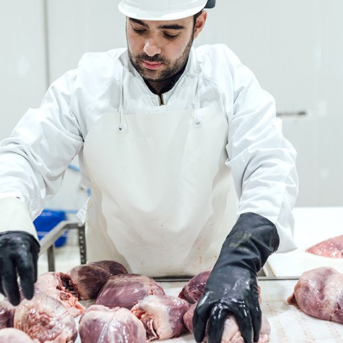 bhj-wet-pet-food-ingredients-3-pod-500x500